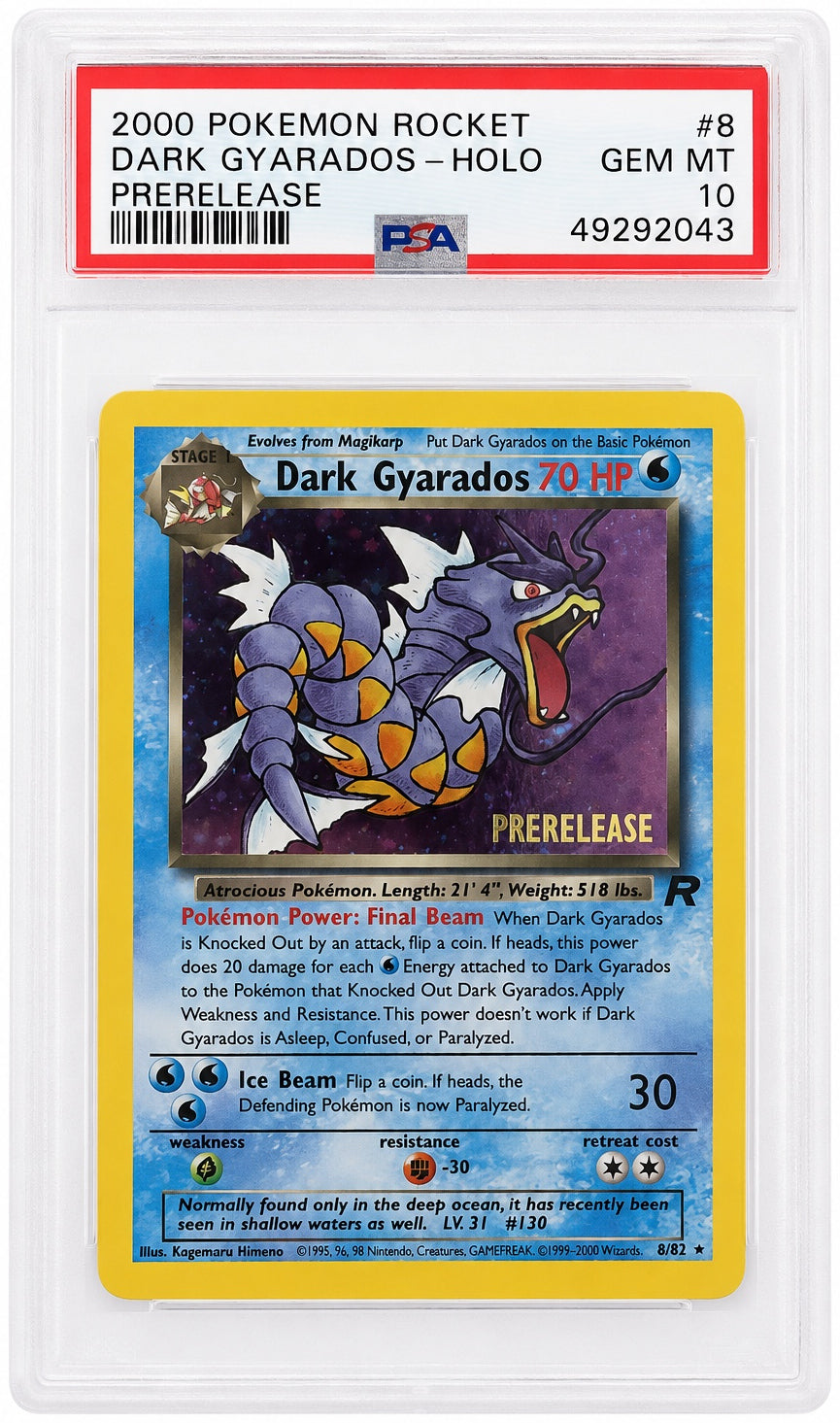 Dark Gyarados Holo Prerelease PSA 10
