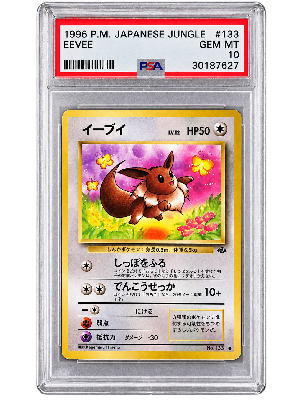 1996 Japanese Jungle Eevee #133 PSA 10 front