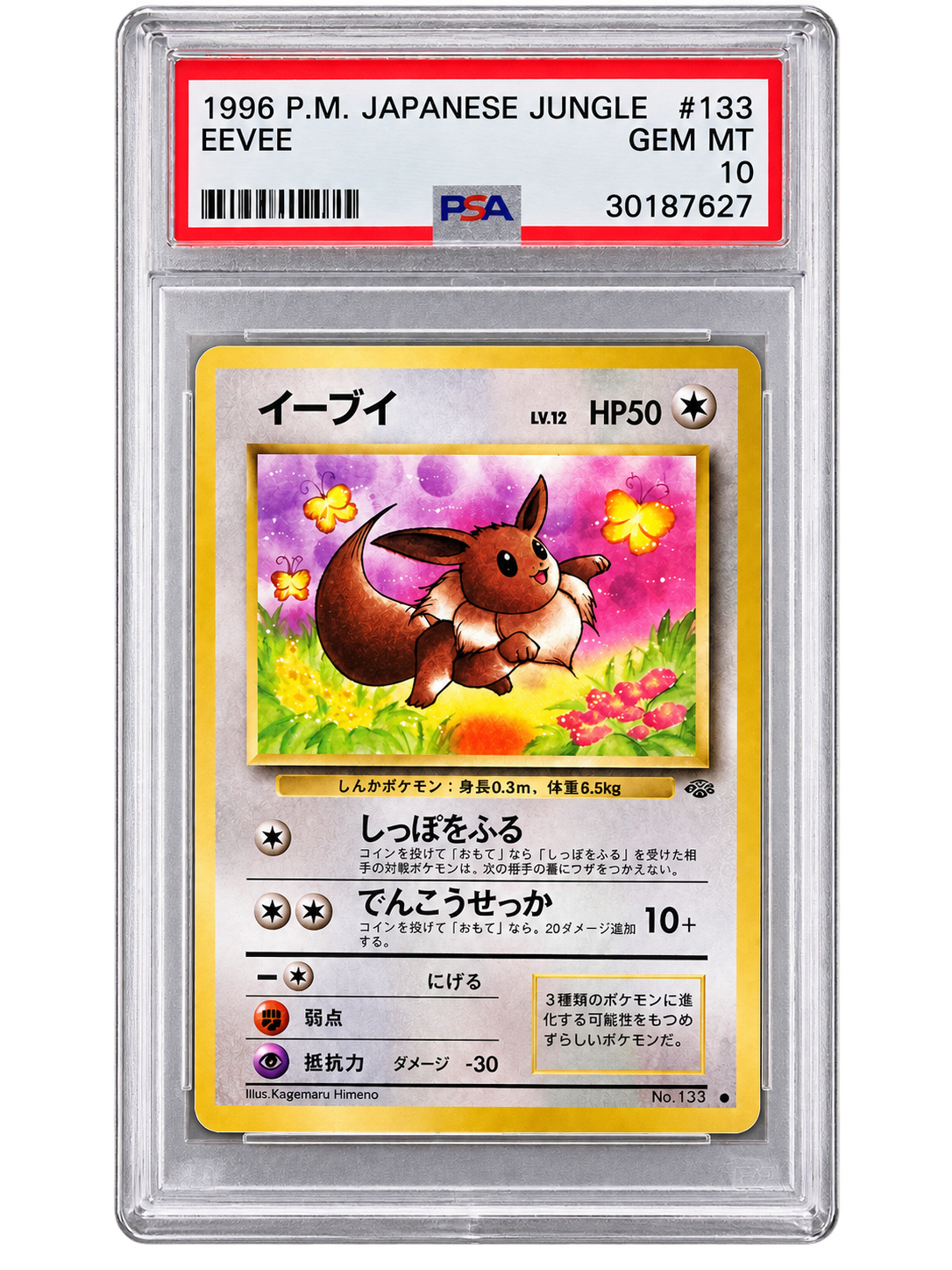 1996 Japanese Jungle Eevee #133 PSA 10 front